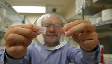 Scientists identify potential new target for disrupting mosquito reproduction | Virginia Tech News