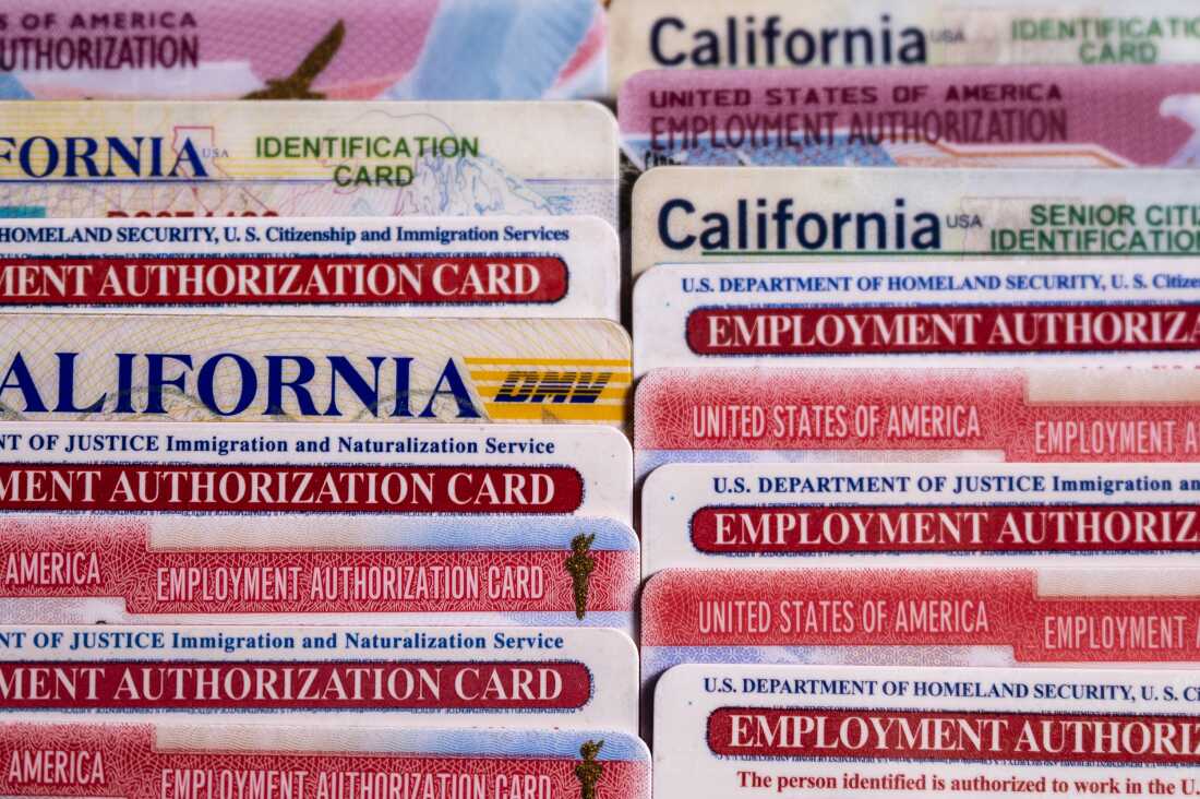 State and federal IDs belonging to Rosa María Carranza, including Social Security, driver’s license, and work authorization cards, are displayed on a table at her home in Oakland, California, on Feb. 23, 2026. Carranza, who has lived and worked in the United States for decades with temporary protected status, keeps the cards as a record of her legal authorization to work. 