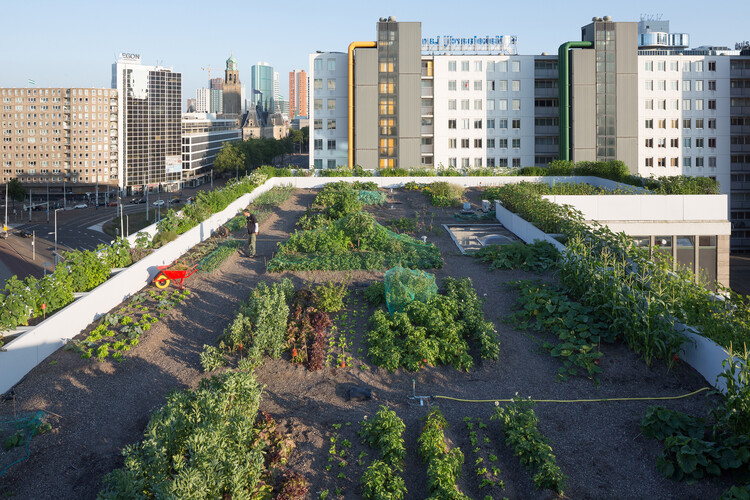 No Solid Ground: Three Approaches to Building Below Sea Level in Rotterdam - Image 52 of 70