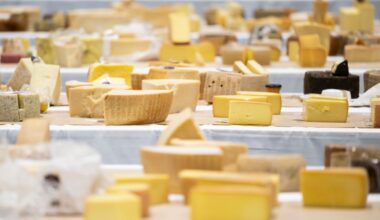 Salmonella-infected Swiss cheese dairy remains closed