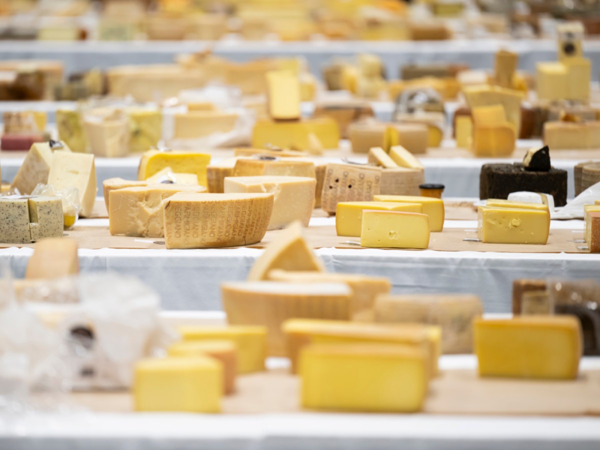 Salmonella-infected Swiss cheese dairy remains closed
