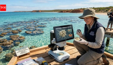 Scientists in Australia have discovered a tiny microbe that could reveal the origin of human life | World News