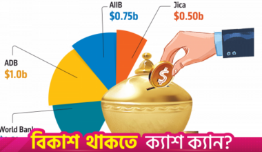 Govt eyes $3.25b budget support to secure energy, food supply