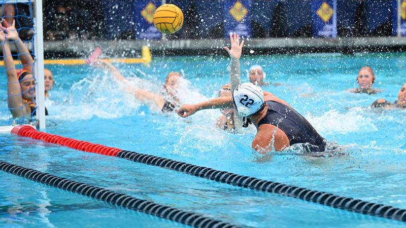 No. 4 Cal Falls In MPSF Semifinal Battle With No. 1 USC