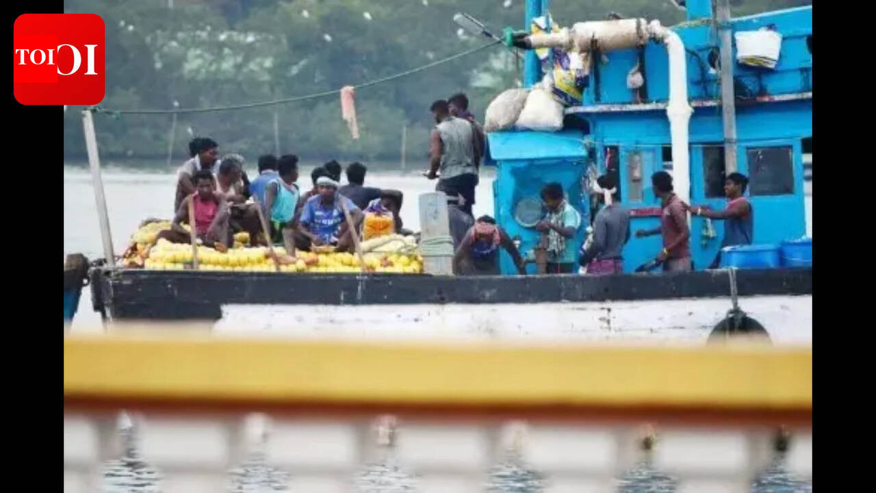 Soaring Diesel Prices Threaten Goa's Fishing Industry | Goa News