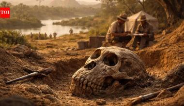 This Egyptian discovery could rewrite humans origin history; scientists say we have been looking in the wrong place | World News