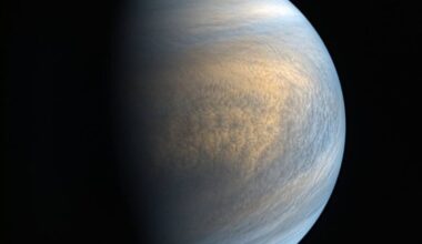 Could Earth Have Sent Life To Venus? New Study Explores 'Panspermia' As A Possible Explanation