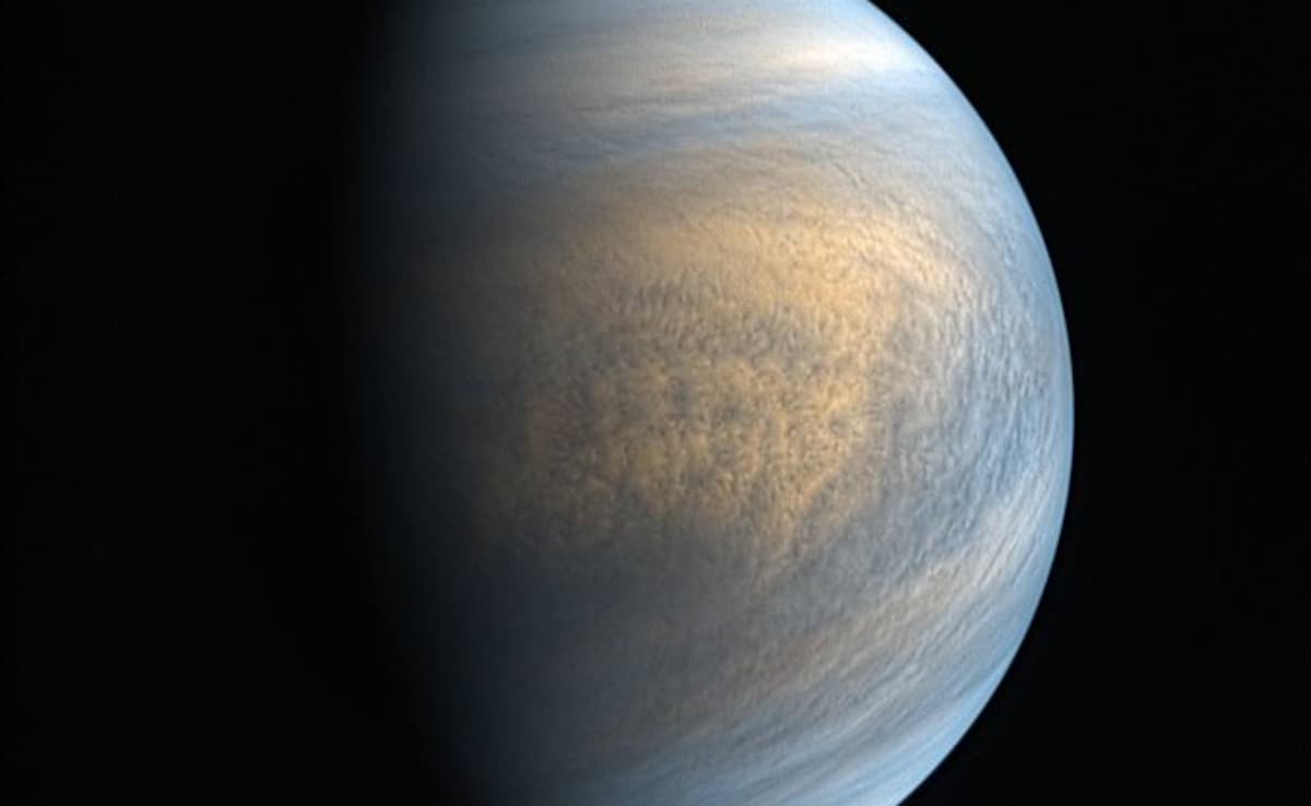 Could Earth Have Sent Life To Venus? New Study Explores 'Panspermia' As A Possible Explanation