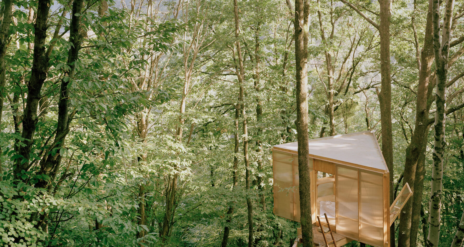 Writing Cabin / Olin Petzold
