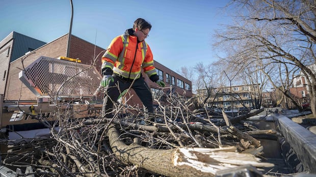 Some services will be limited during 3-day blue-collar workers' strike, Montreal says
