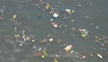 Disposable plastic cups and straws drift in the ocean / Korea Times file