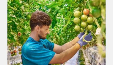 Why greenhouse leaders started with autonomous growing