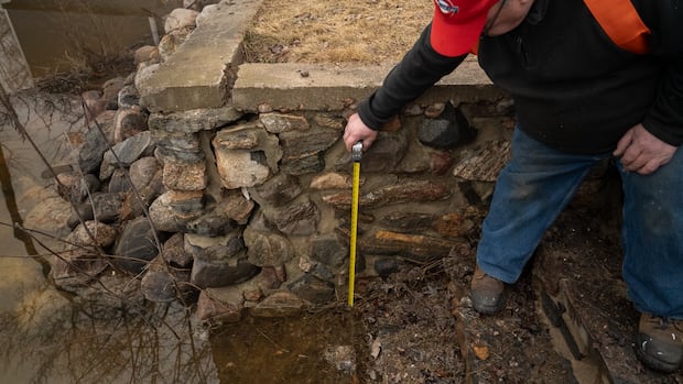 Major Ottawa River flooding can't be ruled out, board says