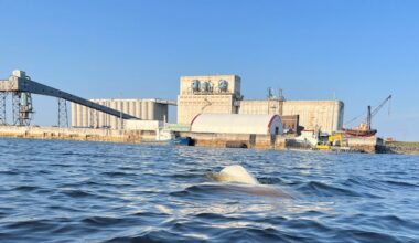 Researchers aim to map trade route through ice and enable year-round shipping from Churchill to Europe