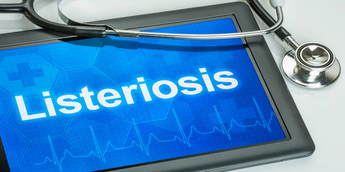 Denmark solves 4 of 10 recent Listeria outbreaks