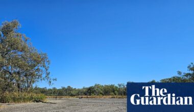 ‘Incomprehensible’: birds flee and hundreds of turtles left to die after government cuts water to NSW wetlands | Environment