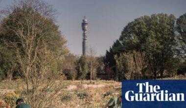 A prickle of hedgehogs and an armada of newts: wildlife settles in at London’s new Queen Elizabeth garden | Biodiversity