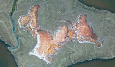 Earth may hold huge hydrogen reservoirs