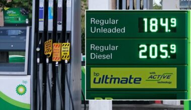 Petrol and diesel drivers finally see cheaper fuel costs as savings 'ought to accelerate this week'