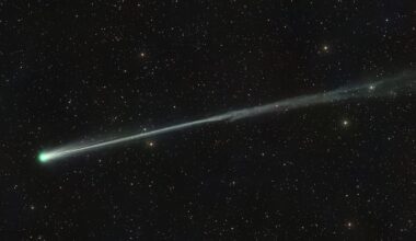This is the comet everyone wants to see at the moment. One photographer captured it shedding its tail