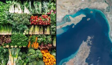 Economist Warns Even Higher Prices Are Coming Dues To Strait Of Hormuz Chaos: 'Long Way From Normal' - Forbes