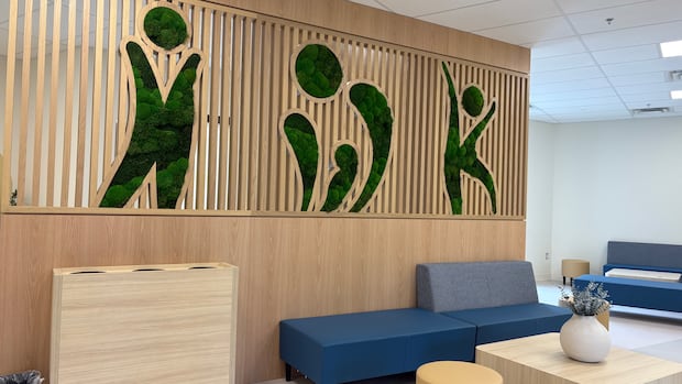 Dartmouth mall home to mental health and addictions site for young patients