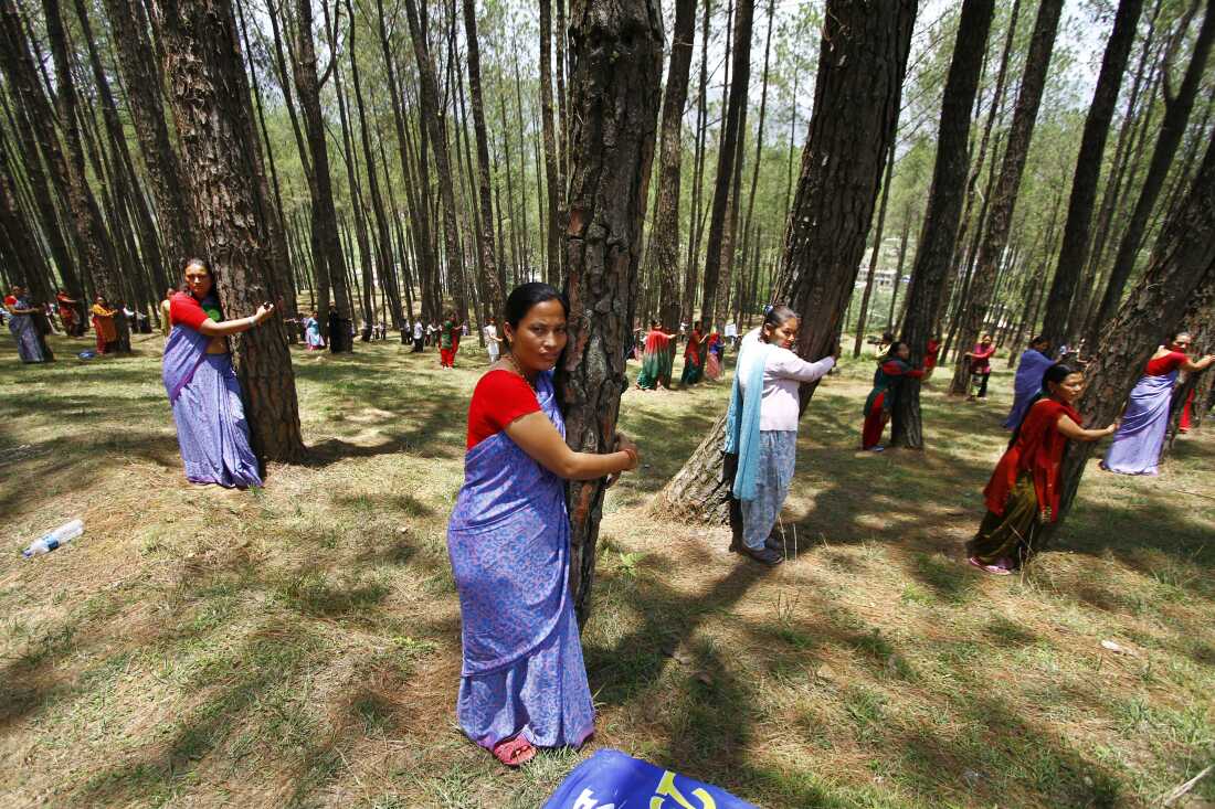Nepalese people hug trees during a mass tree hugging on World Environment Day in Katmandu, Nepal, Sunday, June 5, 2011.