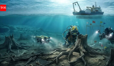 Prehistoric Forest Discovery: A hidden prehistoric forest was just discovered beneath the North Sea, revealing life from 16000 years ago | World News