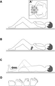 A 10-minute daily exercise program done lying down improved participants' balance, flexibility and agility within just two weeks, per new clinical trial