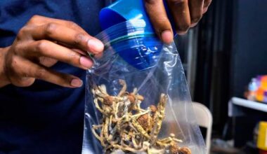 McGill-led study suggests psychedelics could change depression treatment