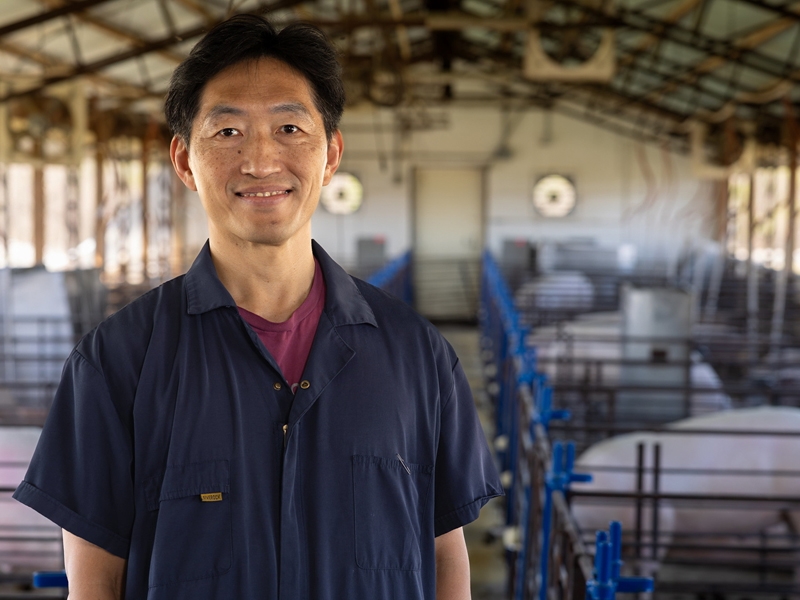 Tsungcheng Tsai, Ph.D., is a program associate in the Department of Animal Science who conducted a long-term study comparing antibiotics to phytochemicals from oregano and rosemary in swine.