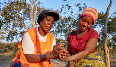 Progress report: Partners for a Malaria-Free Zambia