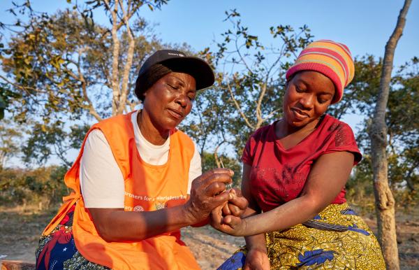 Progress report: Partners for a Malaria-Free Zambia