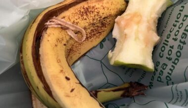 Food waste 'could be used to power thousands of homes'