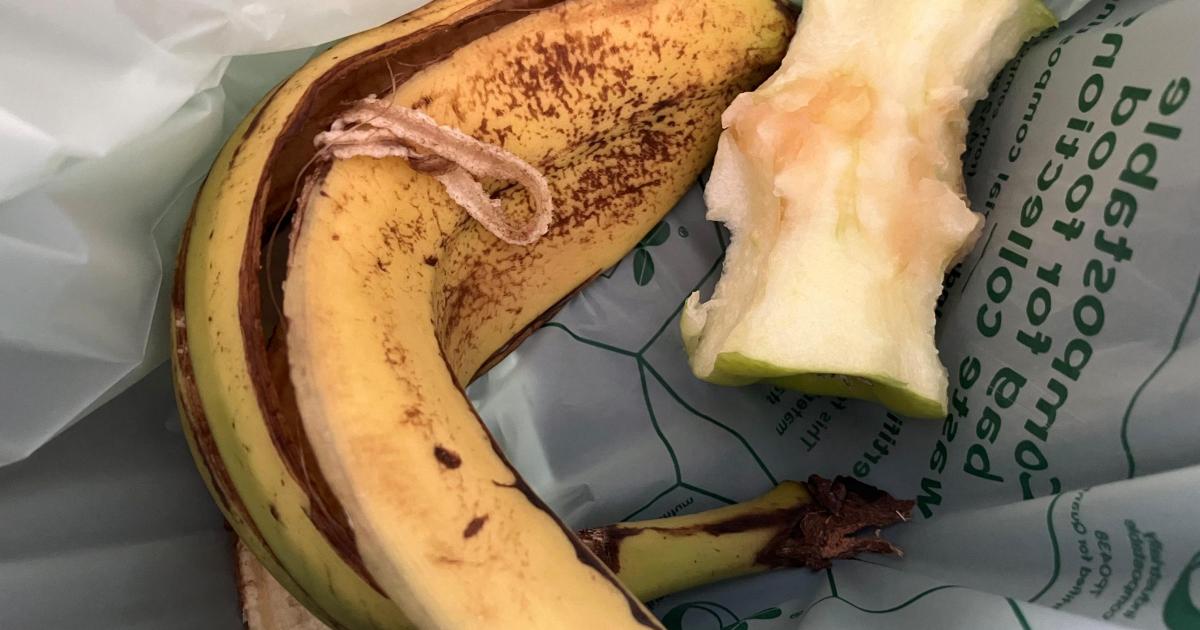 Food waste 'could be used to power thousands of homes'