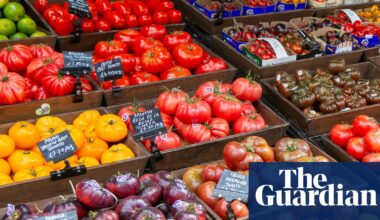UK food inflation ‘could hit 9% this year’ as Iran war drives up energy prices | Food & drink industry