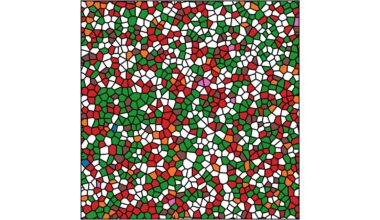 Hyperuniformity can be altered by ‘weighting’ many-particle systems – Physics World