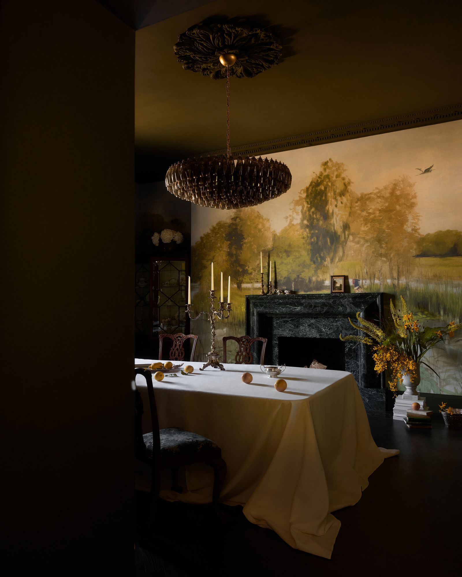 This Georgian Manor Outside Dublin Celebrates the Wildlife That Throngs Its Parklands