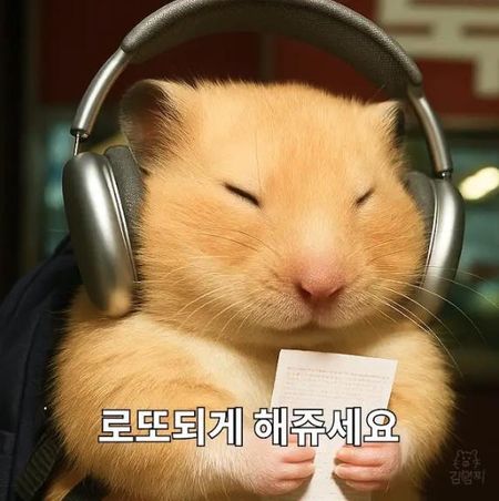 'Kim Hamzzi,' a virtual pet influencer that garnered more than 700,000 YouTube subscribers in less than six months / Captured from @anx_hamzzikim YouTube channel