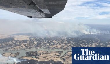 ‘Nothing but tree skeletons’: record-breaking wildfires devastate US cattle country | US wildfires