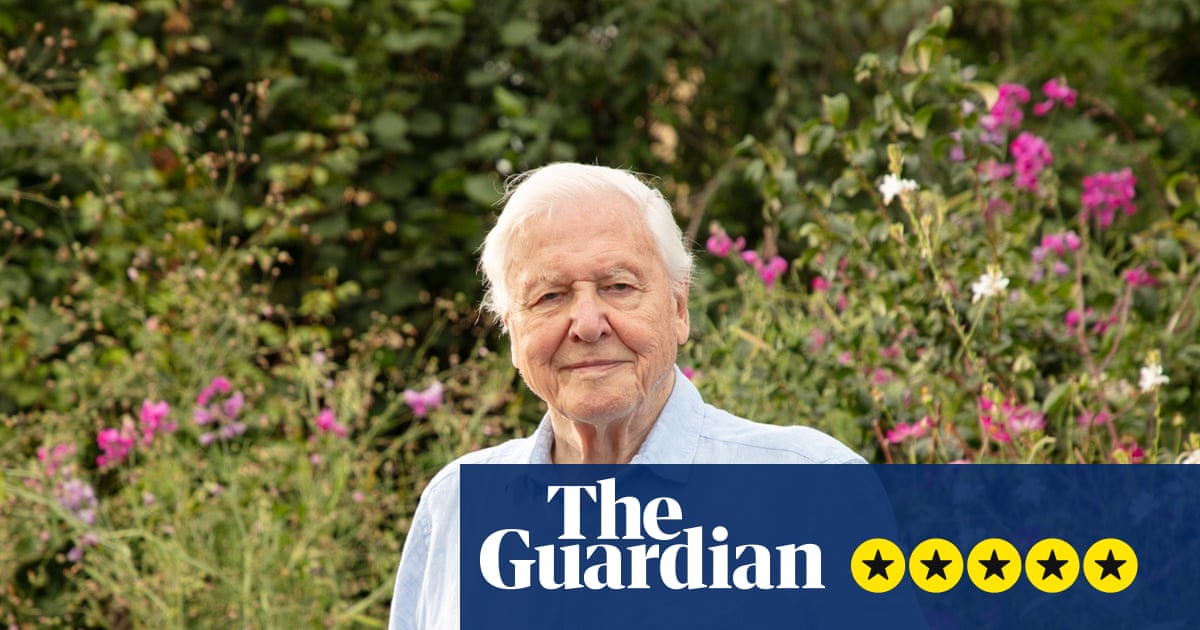 Secret Garden review – David Attenborough offers us a gorgeous fantasy for his 100th birthday | David Attenborough