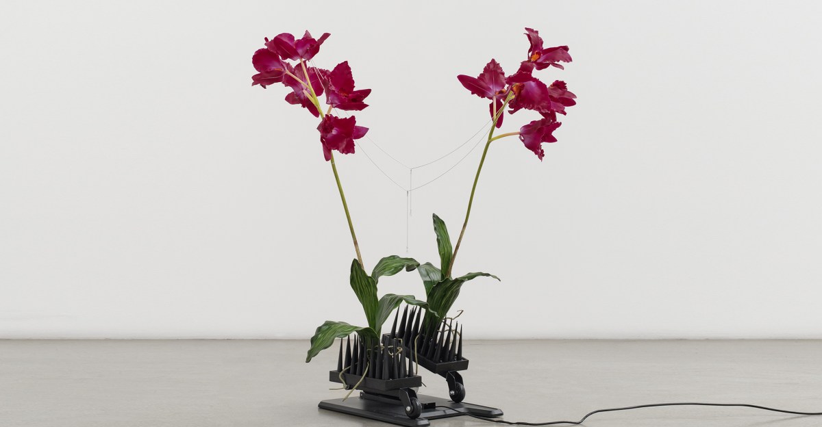 Anthropomorphic sculptures made of fake flowers and neck massagers