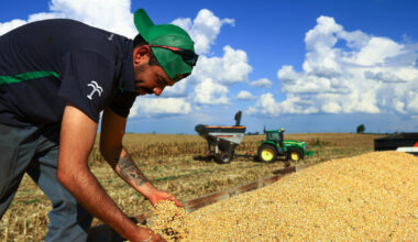 How the Iran war could shatter global food security