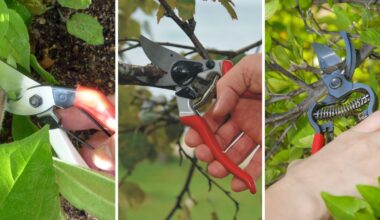 Best Pruning Shears of 2026: Expert-Recommended Options