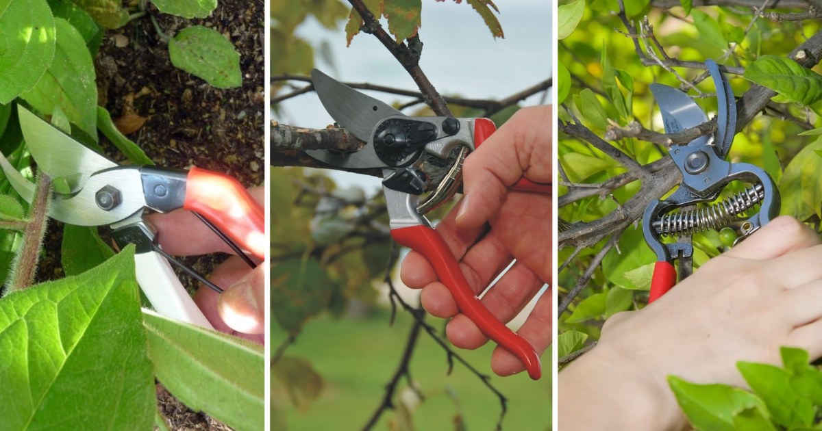 Best Pruning Shears of 2026: Expert-Recommended Options