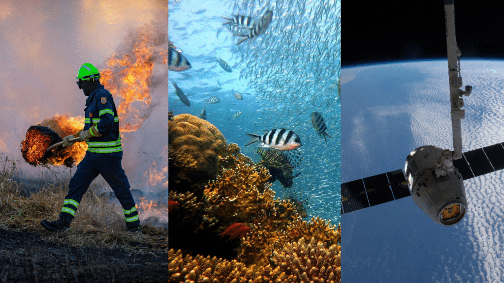 New Ideas in the Climate Change Fight