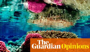 Coral reefs are nearing extinction. 2026 must mark a turning point | Jason Momoa