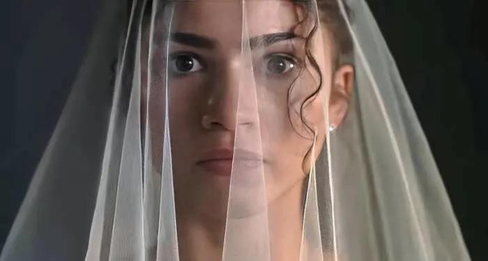 Person with a neutral expression peers through a delicate veil