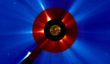 Sun gets unexpected visitor