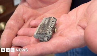 Tourist finds chunk of oldest sea crocodile on Lyme Regis beach - BBC